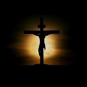 Meet your Posher, Terrell